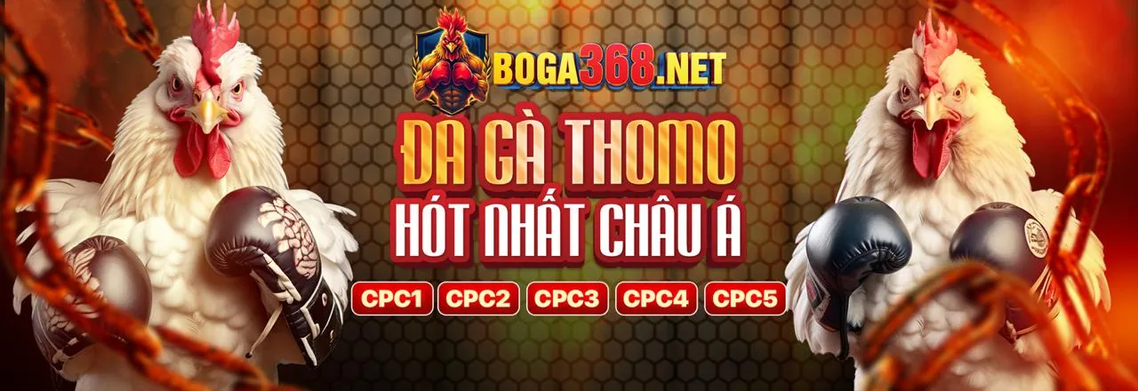 Đá gà ff88 bet
